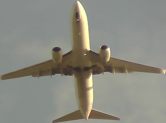 Airplane Picture