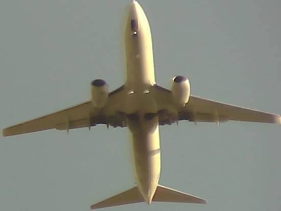 Airplane Picture