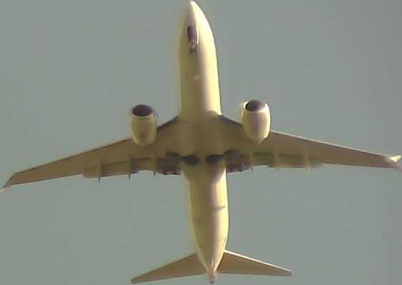 Airplane Picture