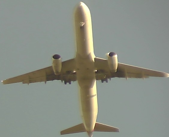 Airplane Picture