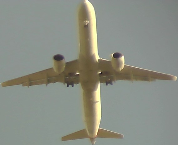 Airplane Picture