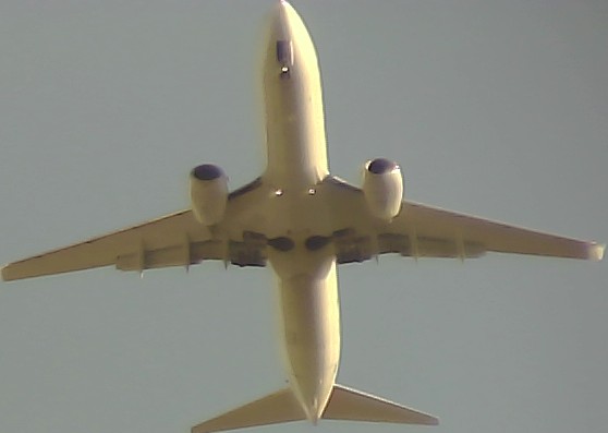 Airplane Picture