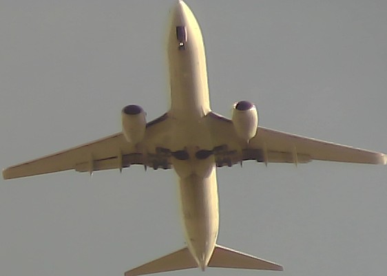 Airplane Picture