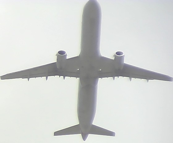 Airplane Picture