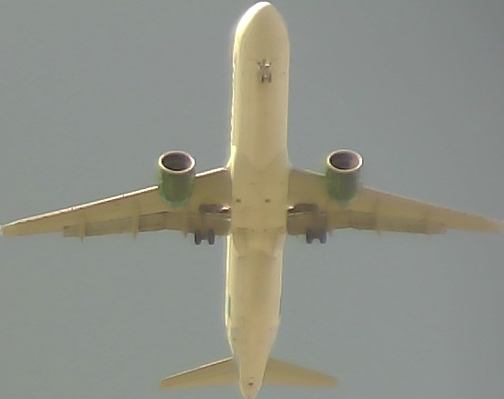 Airplane Picture