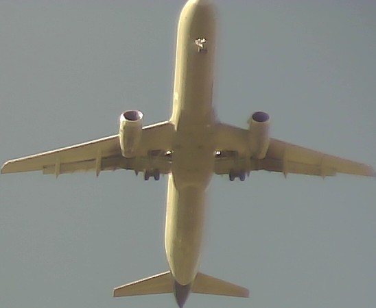 Airplane Picture