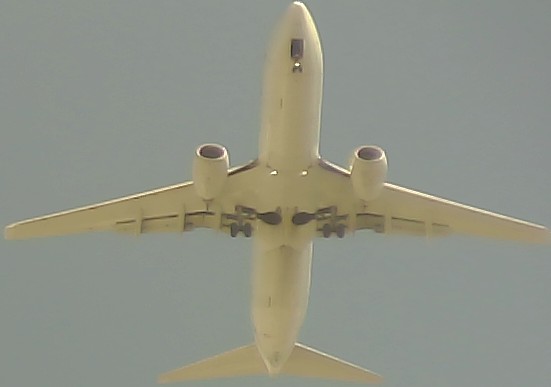 Airplane Picture