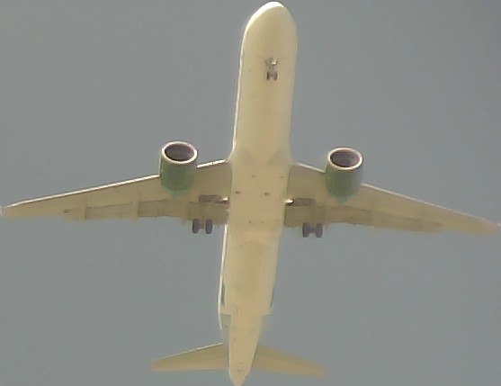 Airplane Picture