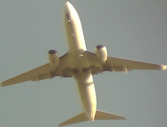 Airplane Picture
