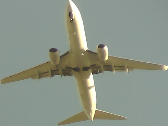 Airplane Picture