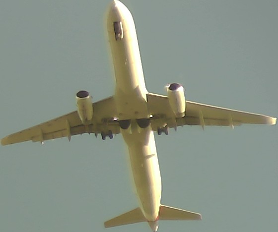 Airplane Picture