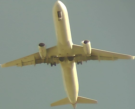 Airplane Picture