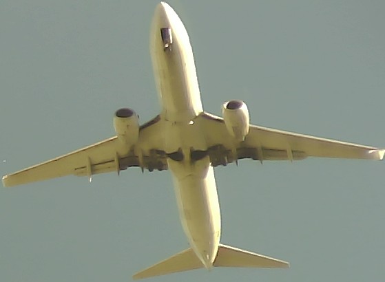 Airplane Picture