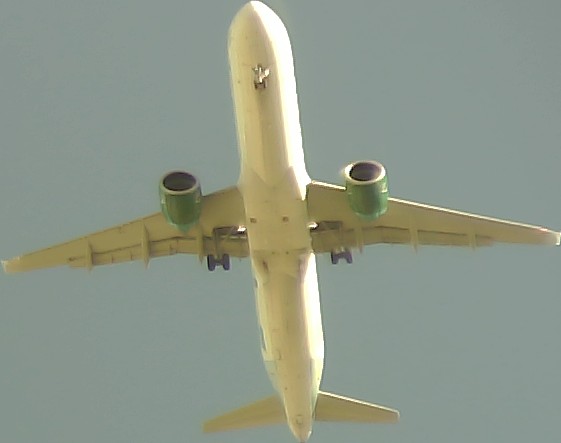 Airplane Picture