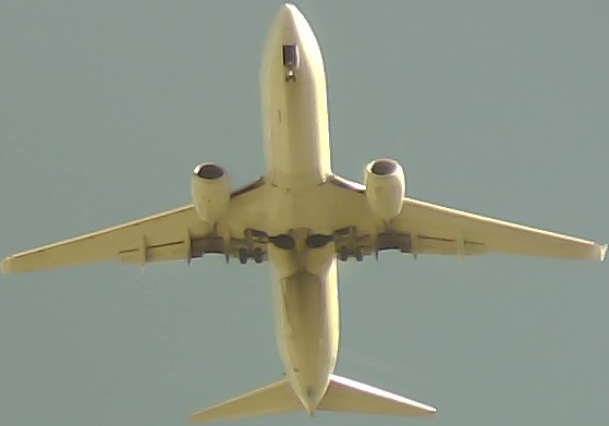 Airplane Picture