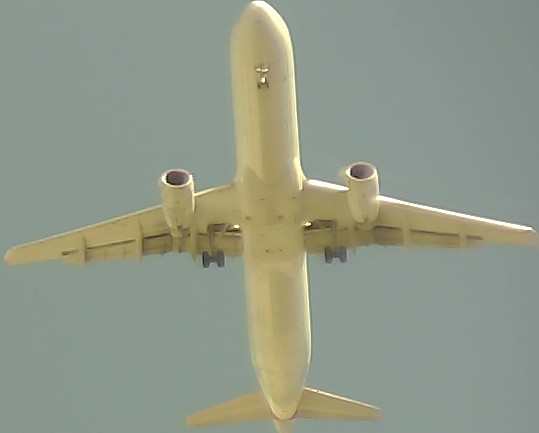 Airplane Picture