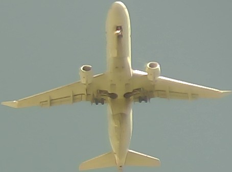 Airplane Picture