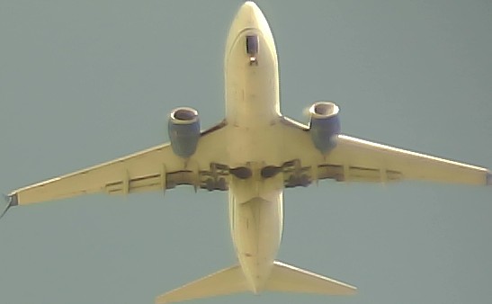 Airplane Picture