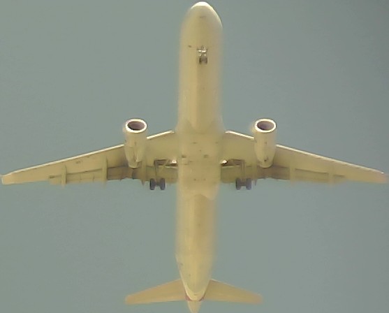 Airplane Picture