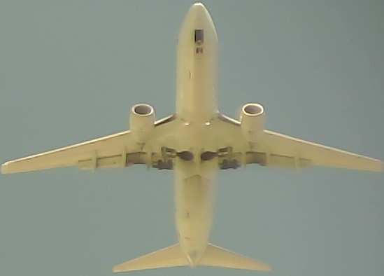Airplane Picture