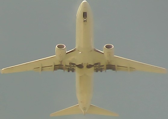 Airplane Picture
