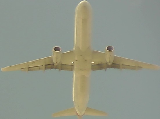 Airplane Picture
