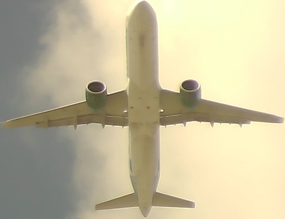 Airplane Picture