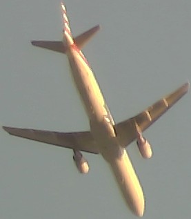 Airplane Picture