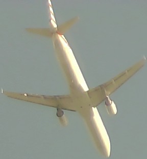 Airplane Picture