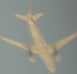 Airplane Picture