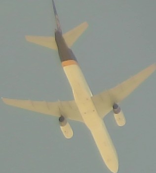 Airplane Picture