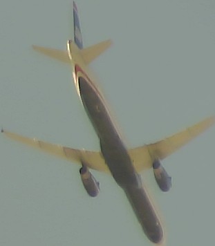 Airplane Picture