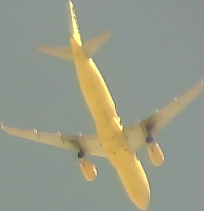 Airplane Picture