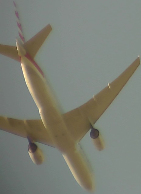 Airplane Picture