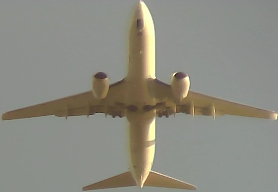 Airplane Picture