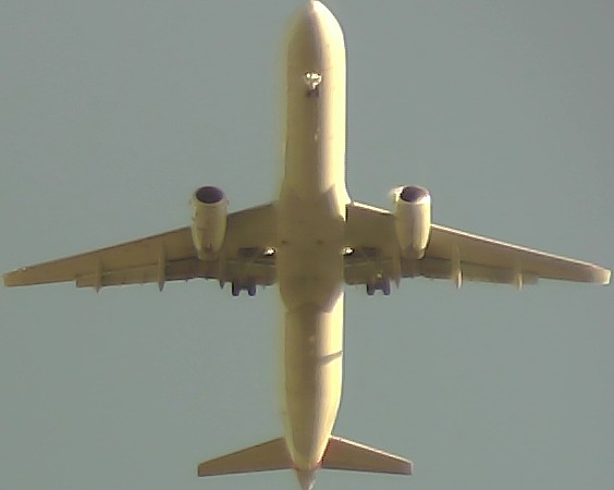 Airplane Picture