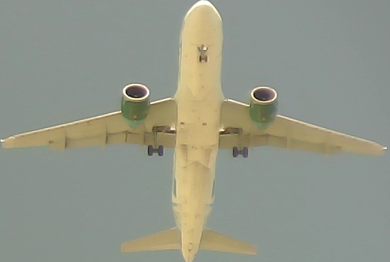Airplane Picture