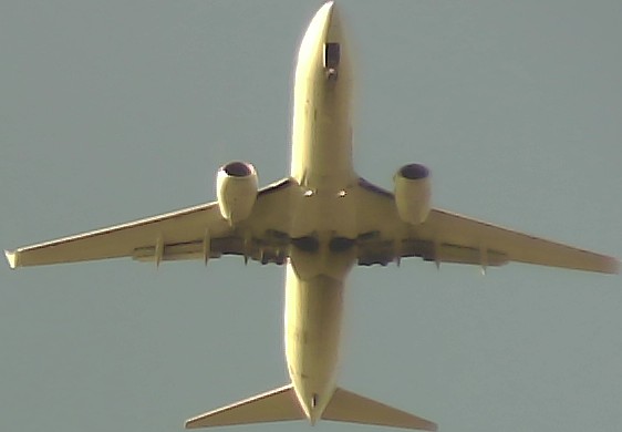 Airplane Picture