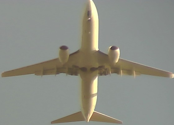 Airplane Picture