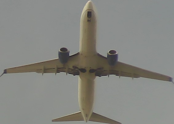 Airplane Picture