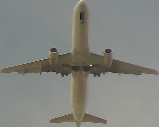Airplane Picture