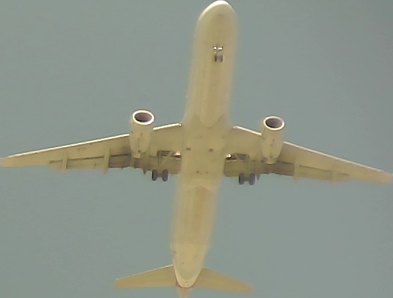 Airplane Picture