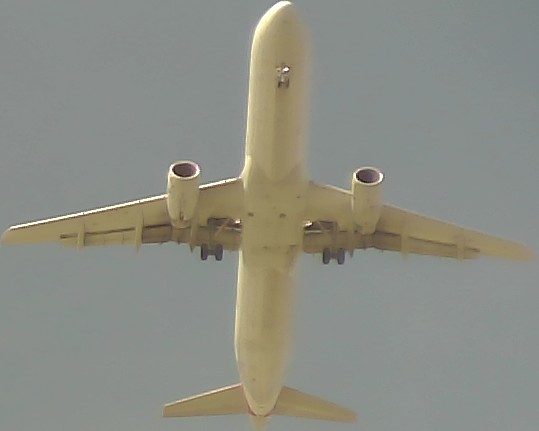Airplane Picture