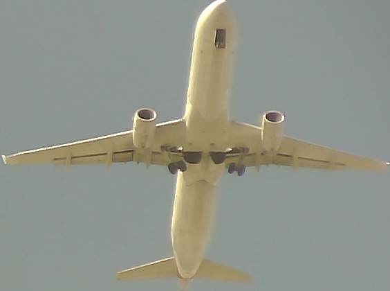 Airplane Picture