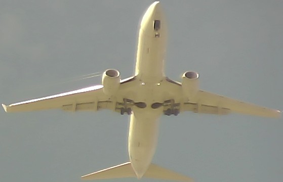 Airplane Picture
