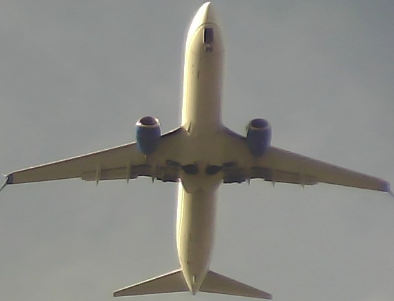 Airplane Picture