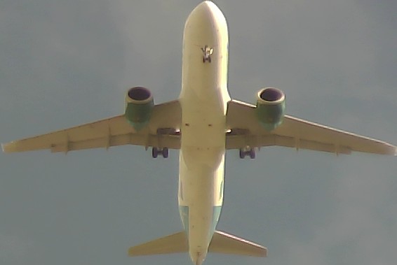 Airplane Picture