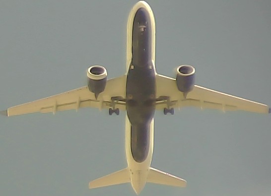 Airplane Picture
