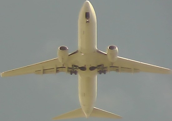 Airplane Picture