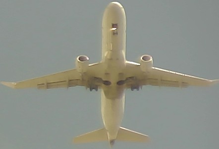 Airplane Picture